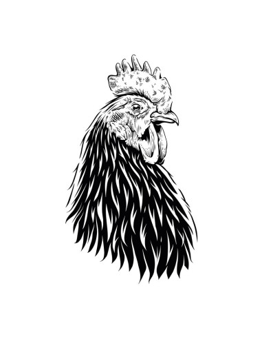 Koszulka Damska z Nadrukiem (185 g/m2) Kogut