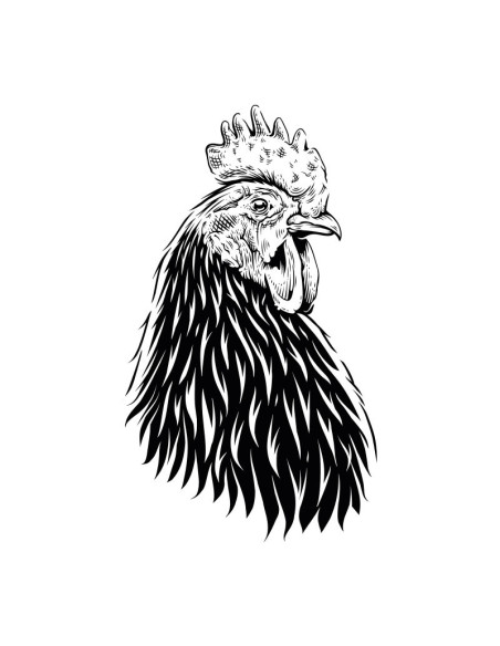 Koszulka Damska z Nadrukiem (185 g/m2) Kogut